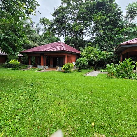 Big Foot Safari Lodge Wli Afegame ภายนอก รูปภาพ