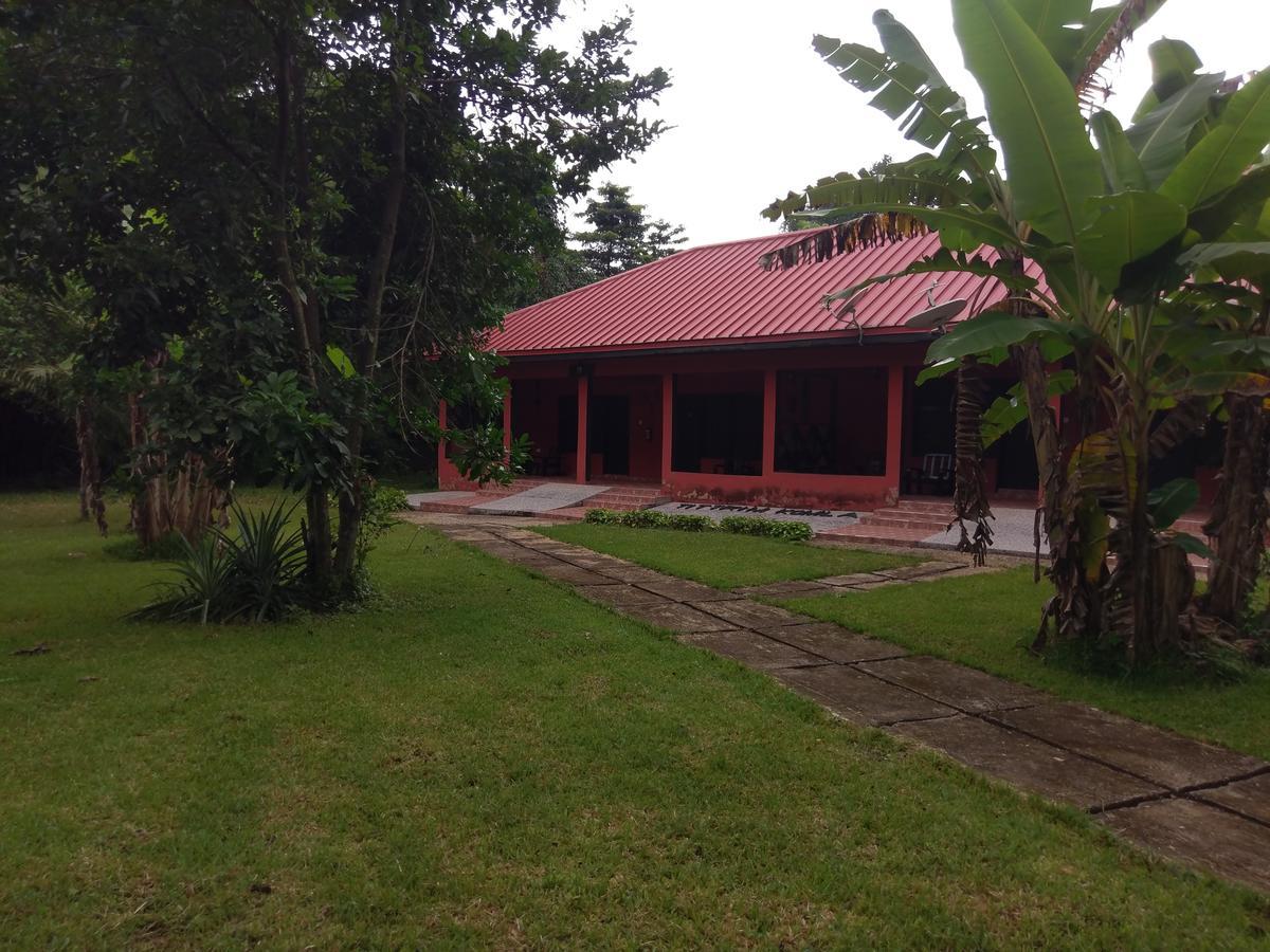 Big Foot Safari Lodge Wli Afegame ภายนอก รูปภาพ